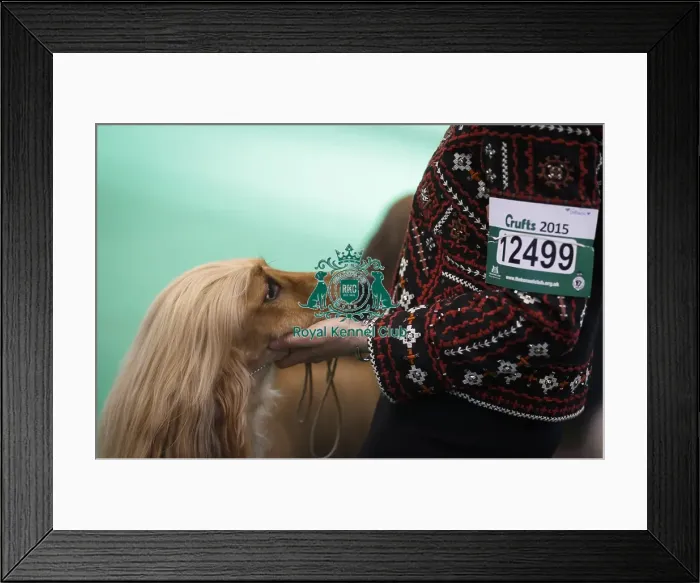 Framed Print : Crufts 2015 Framed Print : Crufts 2015