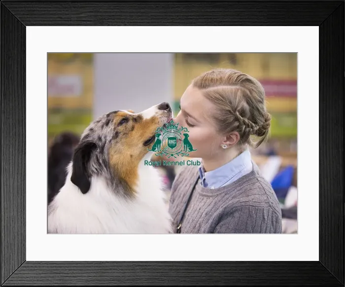 Framed Print : Crufts 2015 Framed Print : Crufts 2015