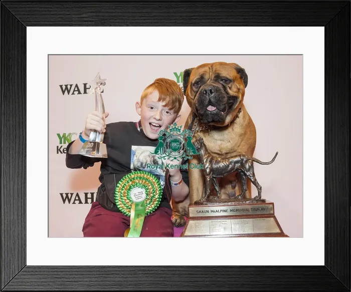 Framed Print : Crufts 2015 Framed Print : Crufts 2015