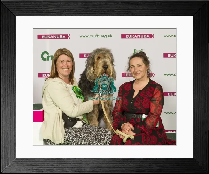 Framed Print : Crufts 2015