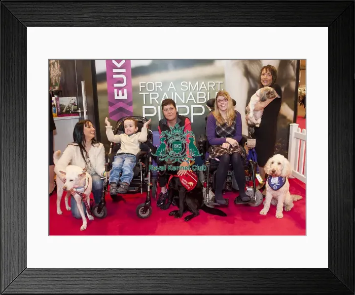 Framed Print : Crufts 2015 Framed Print : Crufts 2015