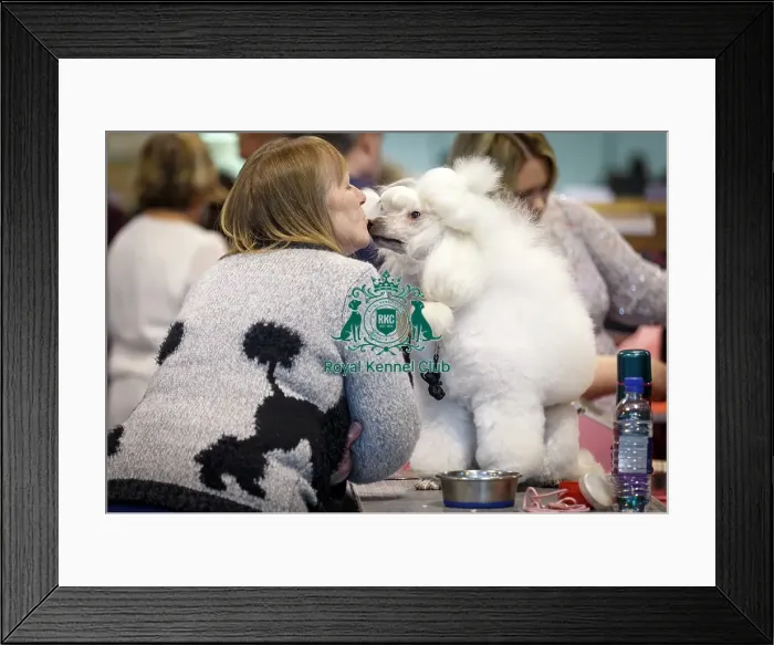 Framed Print : Crufts 2015 Framed Print : Crufts 2015