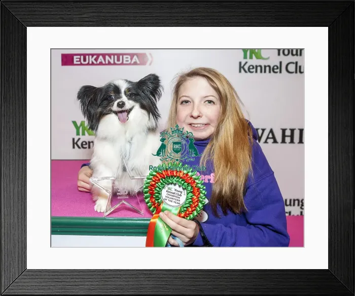Framed Print : Crufts 2015 Framed Print : Crufts 2015