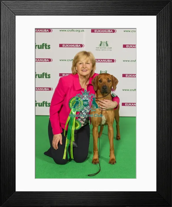 Framed Print : Crufts 2015 Framed Print : Crufts 2015