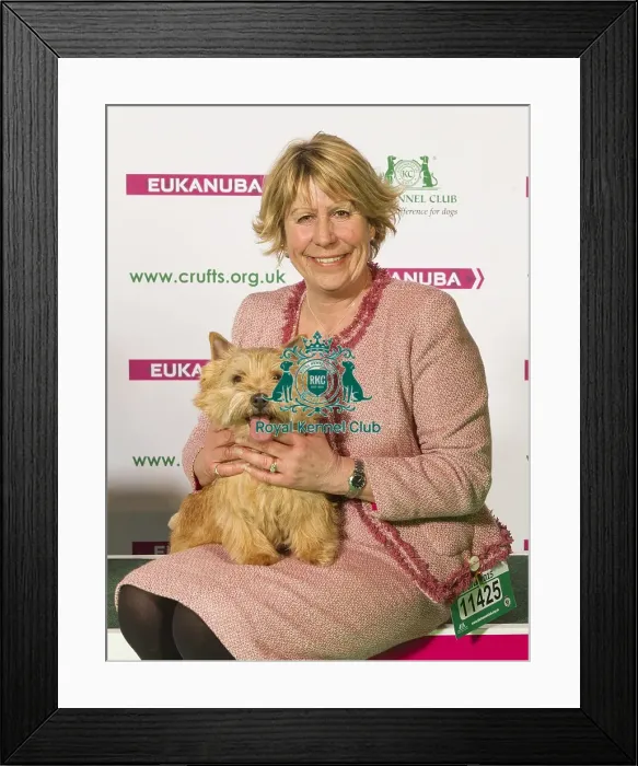 Framed Print : Crufts 2015 Framed Print : Crufts 2015
