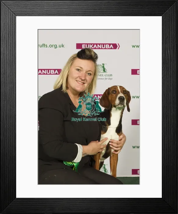 Framed Print : Crufts 2015 Framed Print : Crufts 2015