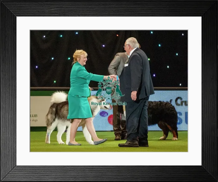 Framed Print : Crufts 2015 Framed Print : Crufts 2015