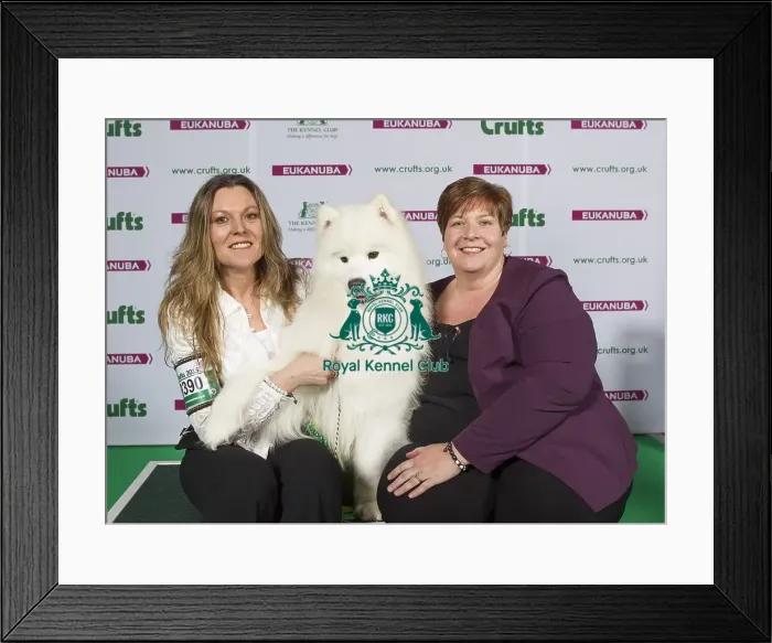 Framed Print : Crufts 2015 Framed Print : Crufts 2015