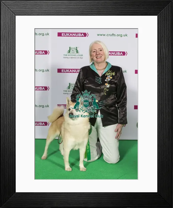 Framed Print : Crufts 2015 Framed Print : Crufts 2015