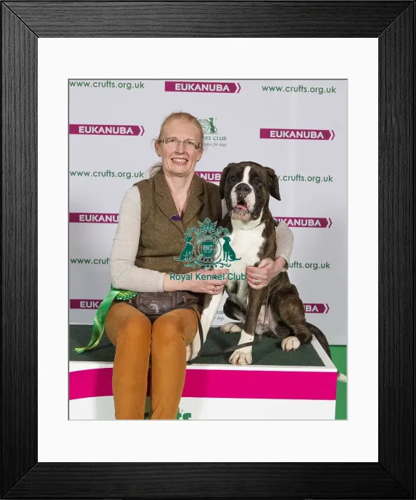 Framed Print : Crufts 2015 Framed Print : Crufts 2015