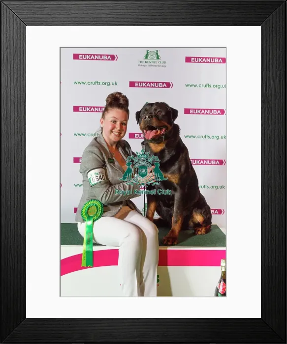 Framed Print : Crufts 2015 Framed Print : Crufts 2015