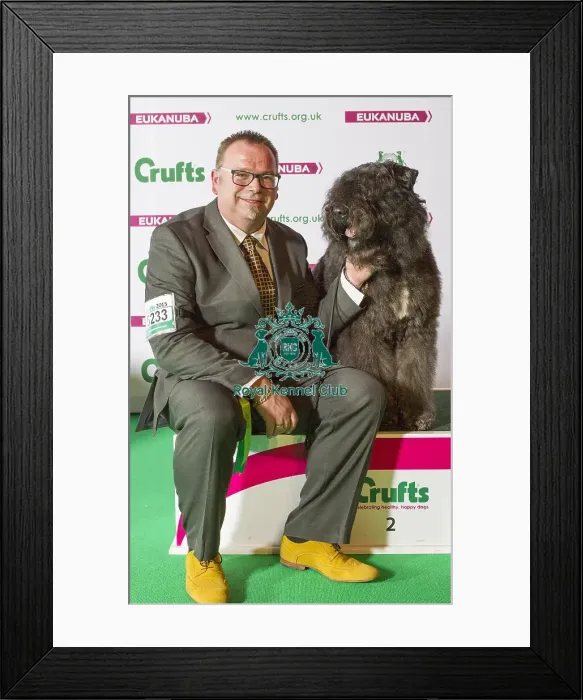 Framed Print : Crufts 2015 Framed Print : Crufts 2015