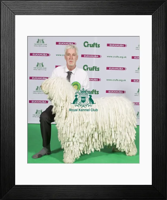 Framed Print : Crufts 2015 Framed Print : Crufts 2015
