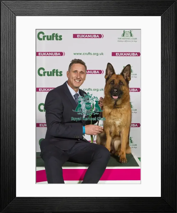 Framed Print : Crufts 2015 Framed Print : Crufts 2015