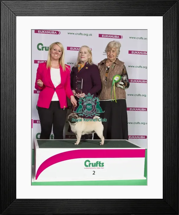 Framed Print : Crufts 2015 Framed Print : Crufts 2015