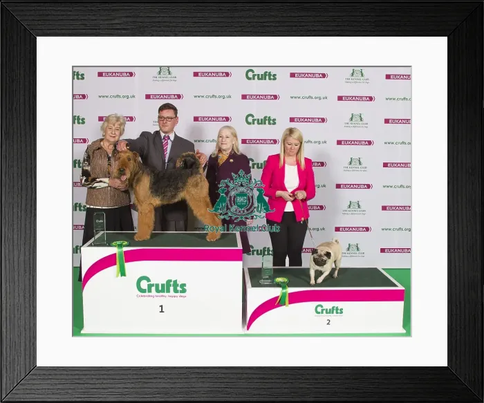 Framed Print : Crufts 2015 Framed Print : Crufts 2015