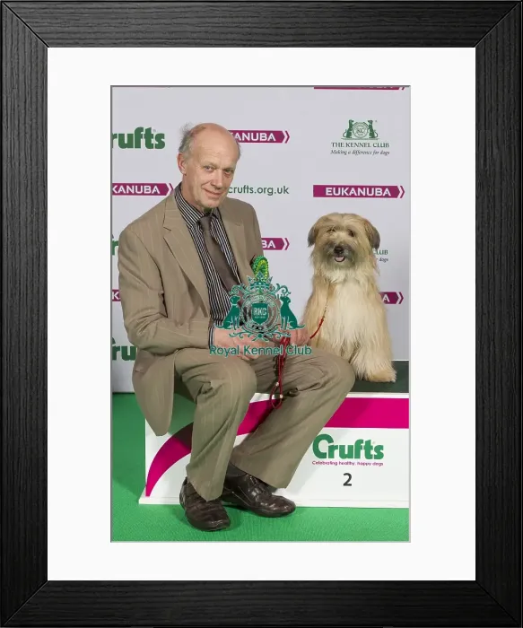 Framed Print : Crufts 2015 Framed Print : Crufts 2015