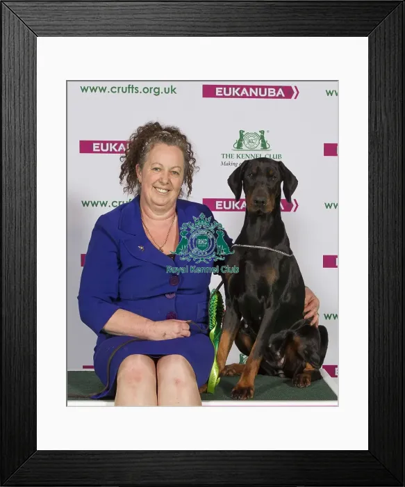 Framed Print : Crufts 2015 Framed Print : Crufts 2015