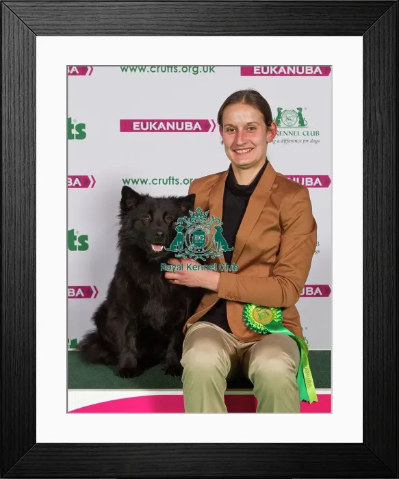 Framed Print : Crufts 2015 Framed Print : Crufts 2015