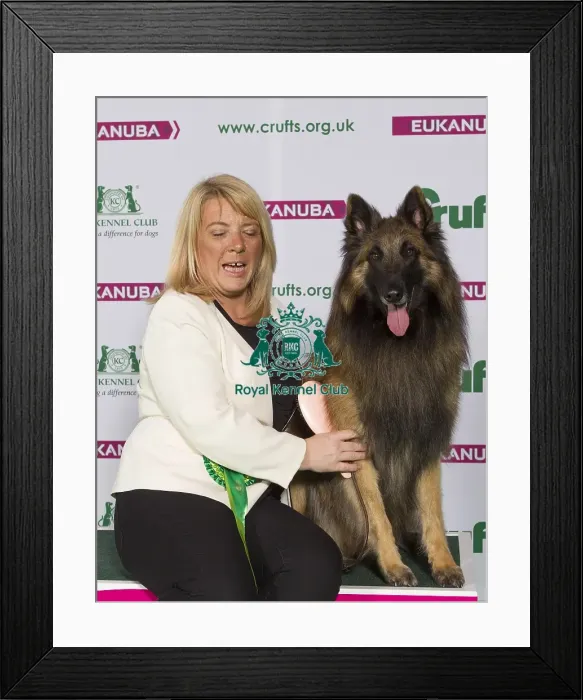 Framed Print : Crufts 2015 Framed Print : Crufts 2015