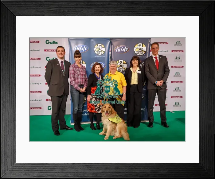 Framed Print : Crufts 2015 Framed Print : Crufts 2015