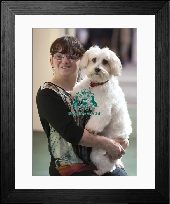Framed Print : Crufts 2015 Framed Print : Crufts 2015