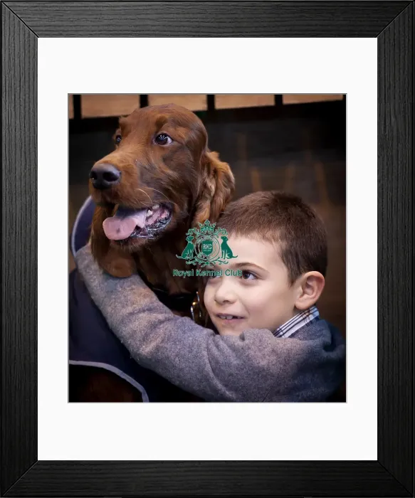 Framed Print : Crufts 2015