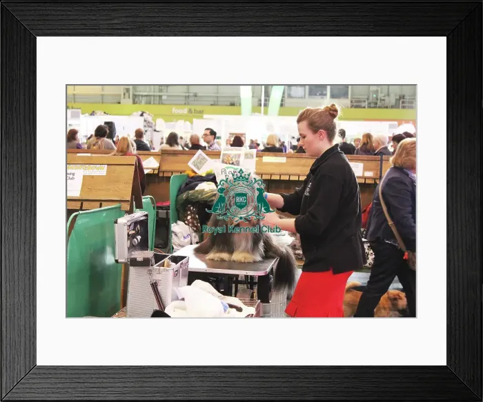 Framed Print : general shot Framed Print : general shot