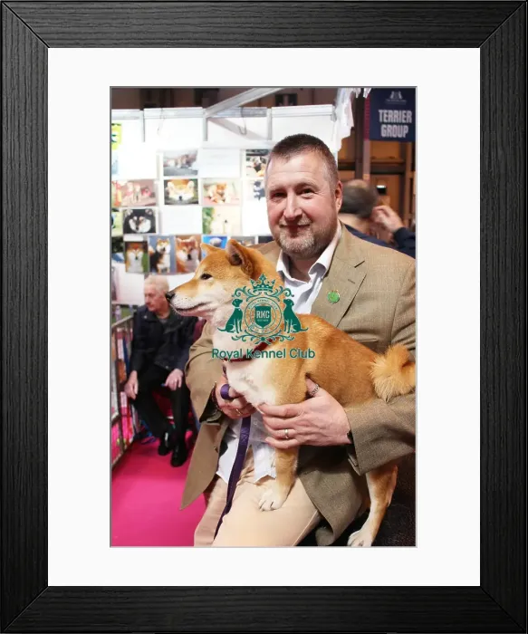 Framed Print : discover dog stands Framed Print : discover dog stands