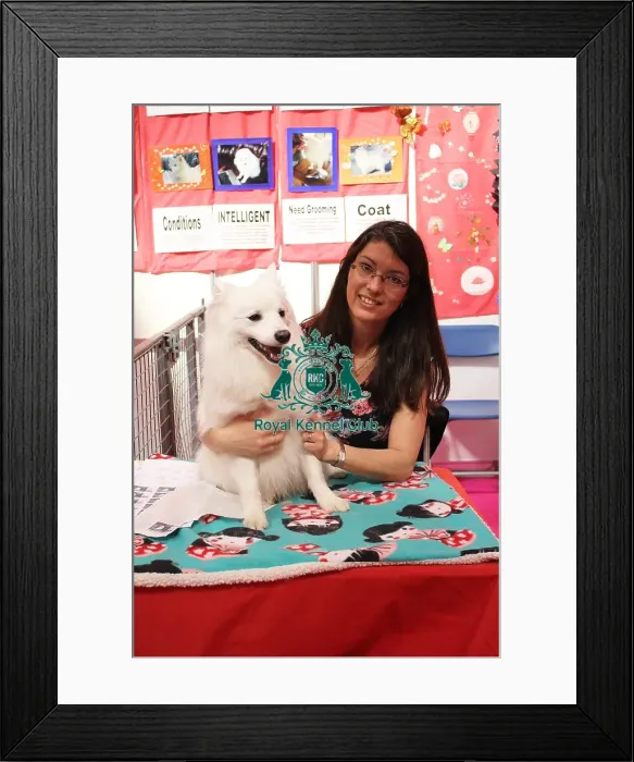 Framed Print : discover dog stands