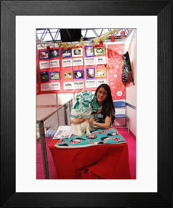 Framed Print : discover dog stands Framed Print : discover dog stands
