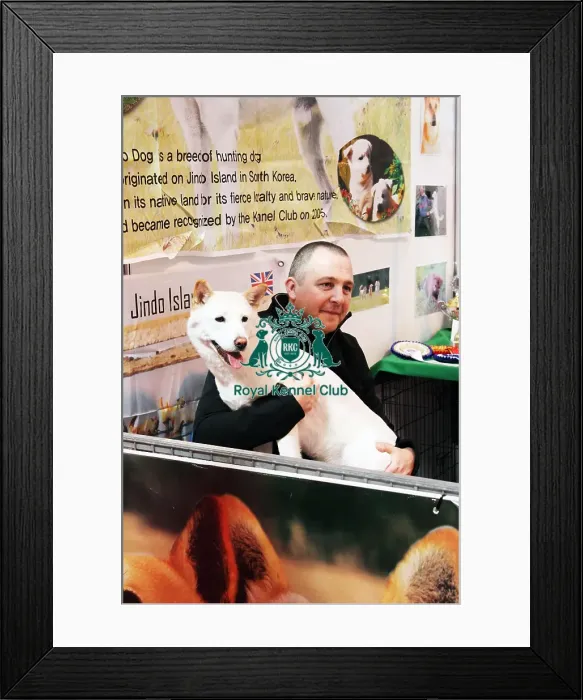 Framed Print : discover dog stands