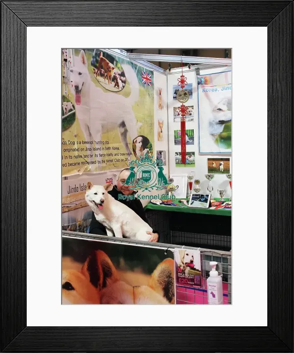 Framed Print : discover dog stands Framed Print : discover dog stands