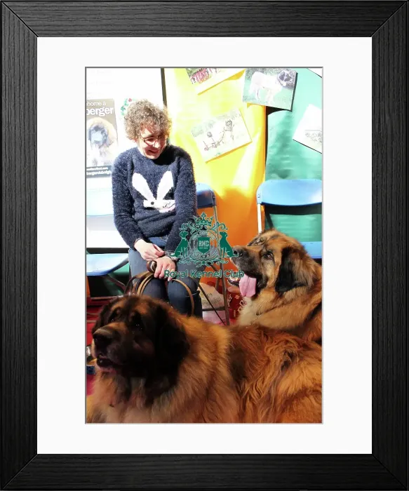 Framed Print : discover dog stands Framed Print : discover dog stands