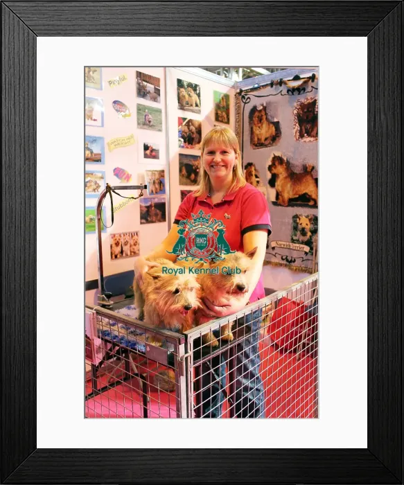 Framed Print : discover dog stands