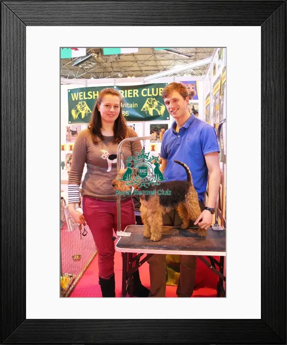 Framed Print : discover dog stands Framed Print : discover dog stands