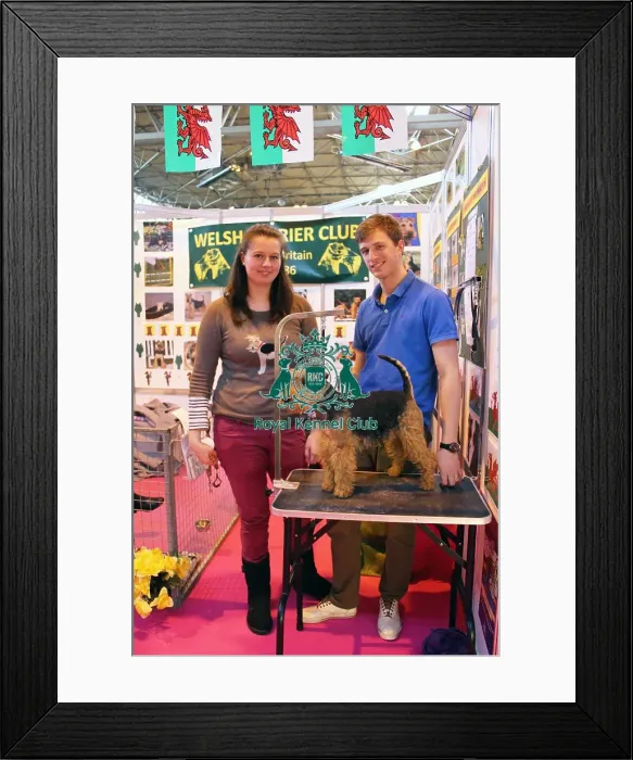 Framed Print : discover dog stands