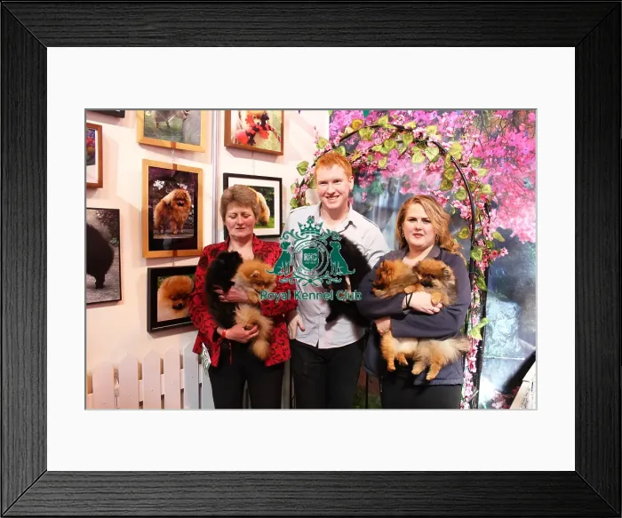 Framed Print : discover dog stands Framed Print : discover dog stands