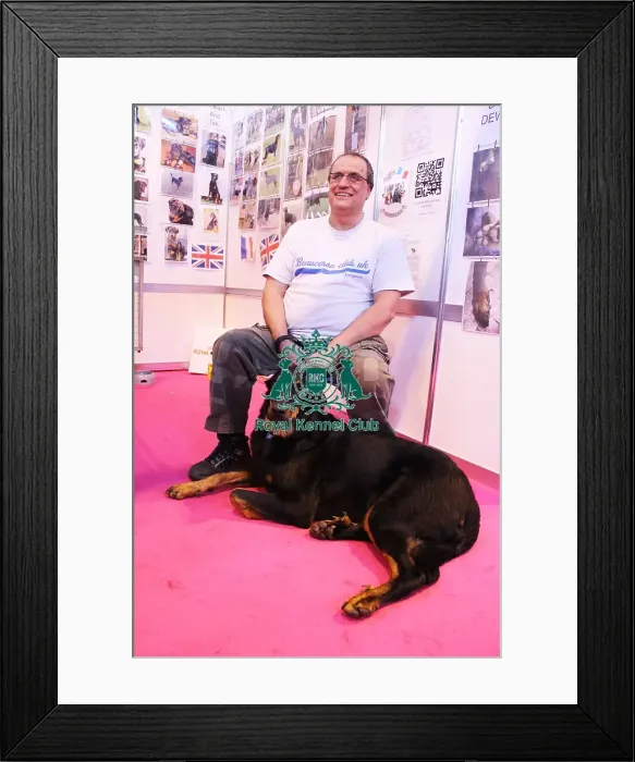 Framed Print : discover dog stands Framed Print : discover dog stands