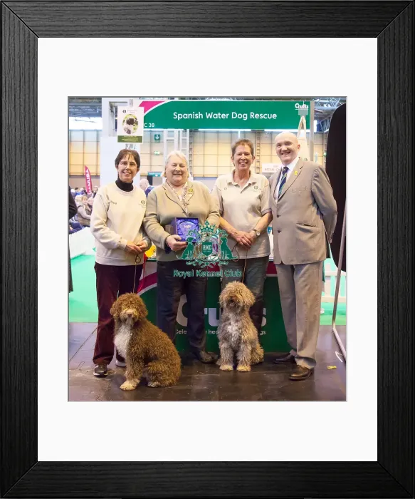 Framed Print : Winner of breeder club stand Framed Print : Winner of breeder club stand