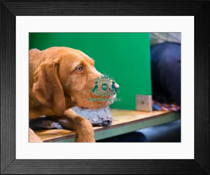 Framed Print : Headshot at bench Framed Print : Headshot at bench