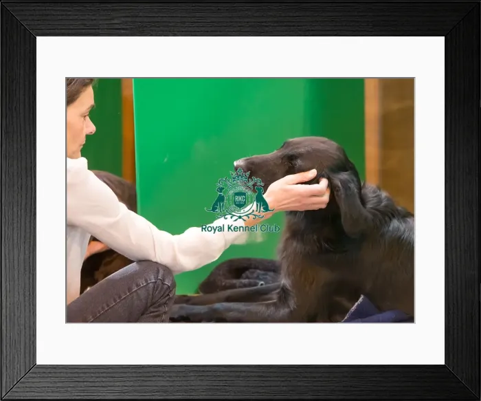 Framed Print : Headshot at bench
