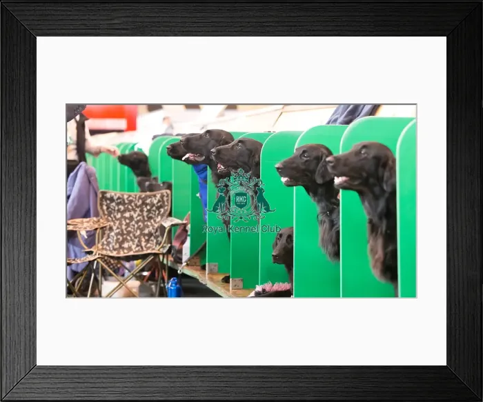 Framed Print : Heads Framed Print : Heads