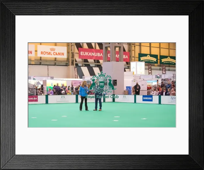 Framed Print : Judge at work