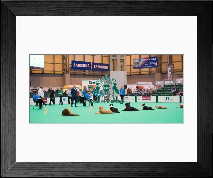 Framed Print : Obedience Framed Print : Obedience