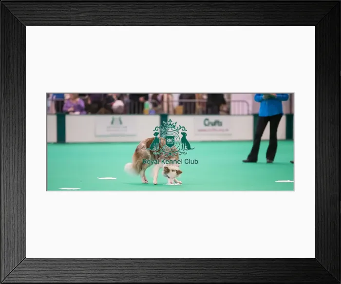 Framed Print : Smeller Framed Print : Smeller