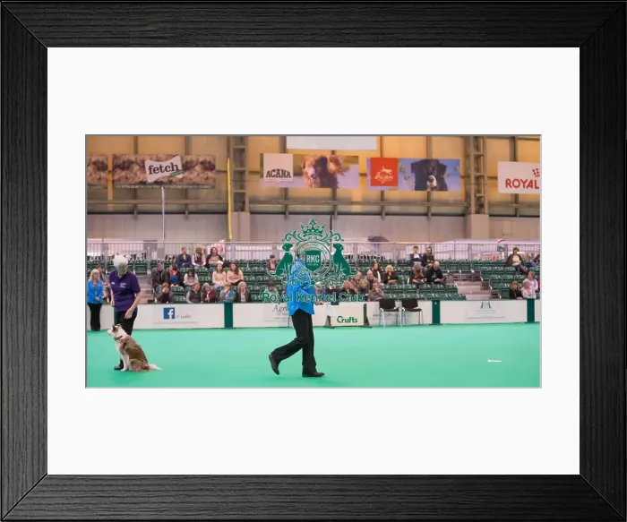 Framed Print : Smeller