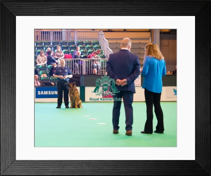 Framed Print : Judge at work Framed Print : Judge at work