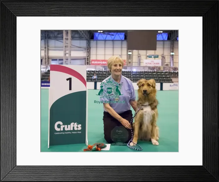 Framed Print : Photocall obedience