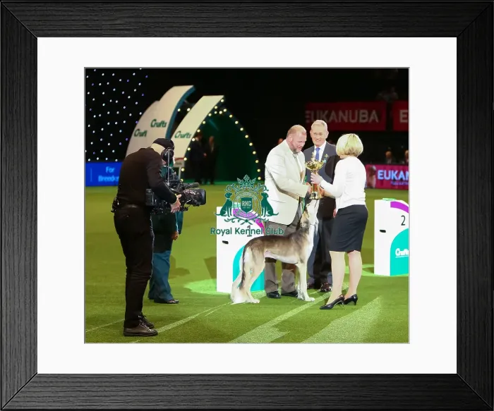 Framed Print : Winner ceremony - Trine Haga Framed Print : Winner ceremony - Trine Haga